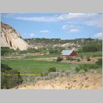 20060819_18DixieForest_007 copia.jpg